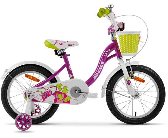 Детский велосипед AIST Skye 16 (фиолетовый), Цвет: фиолетовый