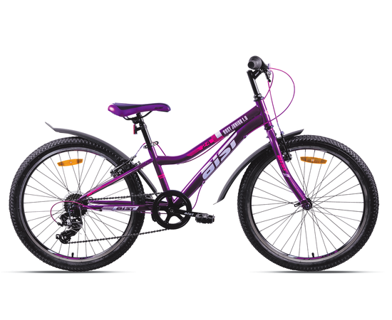 Велосипед AIST Rosy Junior 1.0 24" (фиолетовый), Цвет: фиолетовый
