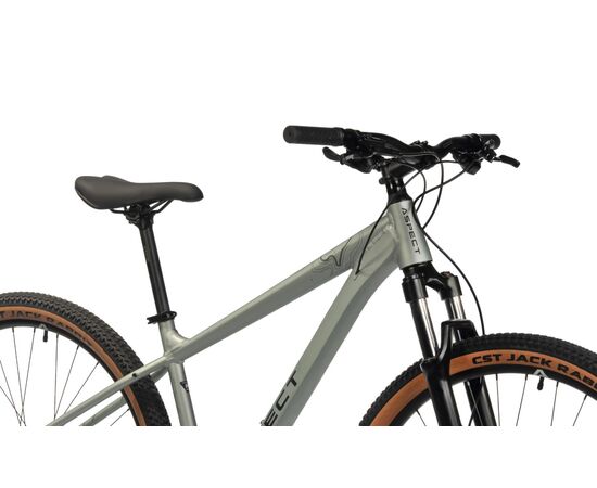 Велосипед Aspect Legend 29 (светло-серый), Цвет: серый, Размер рамы: 18", изображение 5