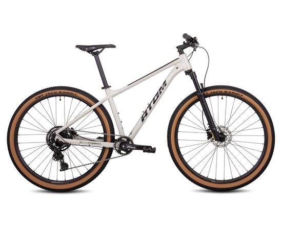 Велосипед ATOM BION NINE LTD (шелковый титановый), Цвет: серый, Размер рамы: M