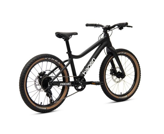 Велосипед Hagen Teen Pro 20 Carbon (чёрный матовый), изображение 3