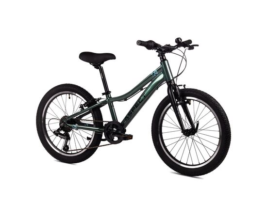 Велосипед Aspect Champion 20" (зелёный), Цвет: зелёный, изображение 3