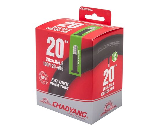 Камера CHAOYANG 20x4.00/4.90" AV33
