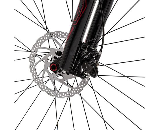 Велосипед Welt Rambler 2.0 (Baron Red), Цвет: красный, Размер рамы: M, изображение 9