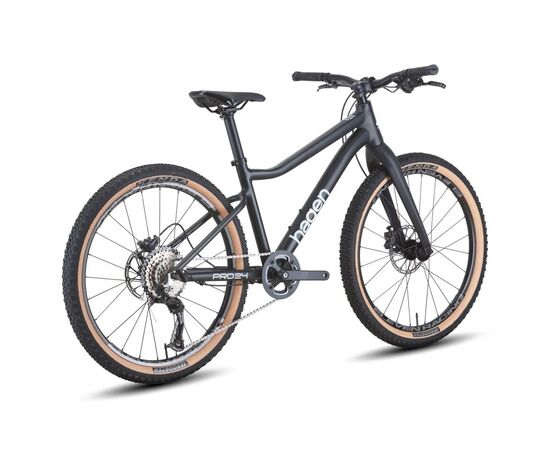 Велосипед Hagen Teen Pro 24 Carbon (2025, черный, матовый), изображение 3