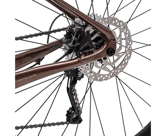 Велосипед Welt G-AIR (Sugar Brown), Цвет: коричневый, Размер рамы: M, изображение 8