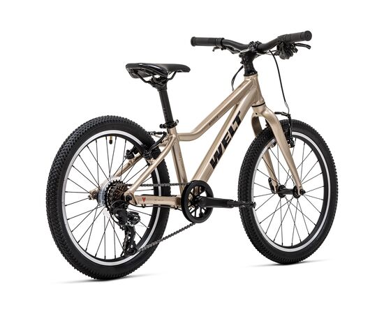 Детский велосипед Welt Moovix 2.0 20 V (Wild Gold), Цвет: бежевый, изображение 3