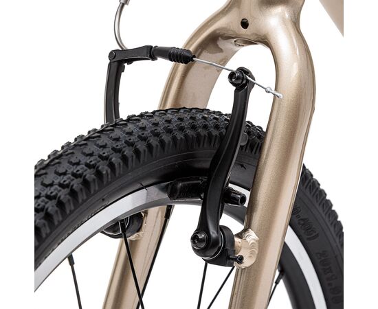 Детский велосипед Welt Moovix 2.0 20 V (Wild Gold), Цвет: бежевый, изображение 9