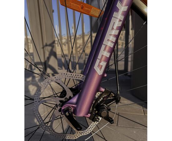 Велосипед Stalker Delta 29.2 D (фиолетовый), изображение 9