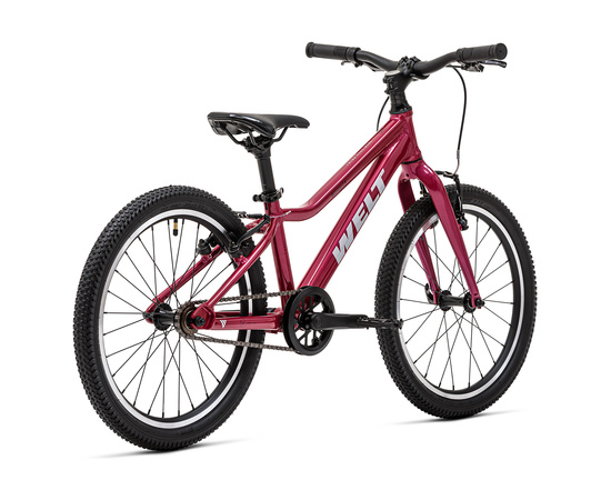 Велосипед Welt'26 Moovix 1.0 VB 20 (Electric Pink), Цвет: розовый, изображение 3