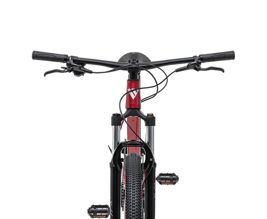 Велосипед Welt'26 Icon 1.0 29 (Fast Red), Цвет: красный, Размер рамы: M, изображение 4