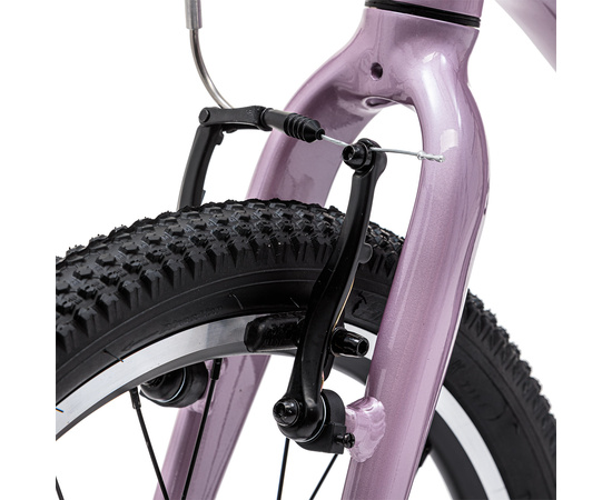 Детский велосипед Welt Moovix 2.0 20 V (Amazing Pink), Цвет: фиолетовый, изображение 9