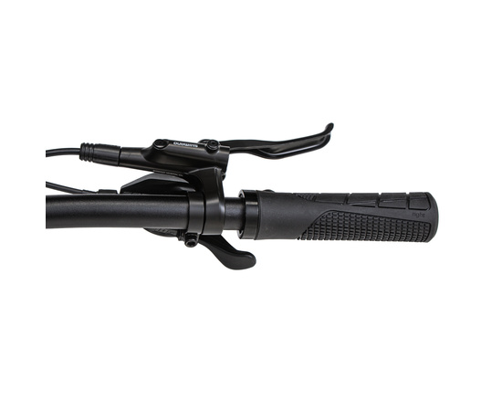 Велосипед Welt'26 Icon 3.0 29 (Brutal Silver), Цвет: серый, Размер рамы: L, изображение 10