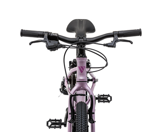 Детский велосипед Welt Moovix 2.0 20 V (Amazing Pink), Цвет: фиолетовый, изображение 4