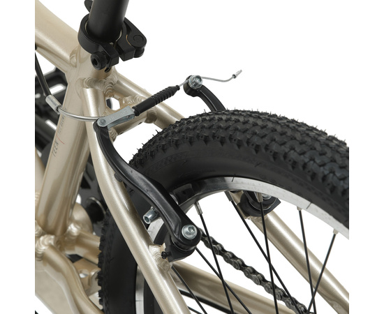 Детский велосипед Welt Moovix 2.0 20 V (Wild Gold), Цвет: бежевый, изображение 8