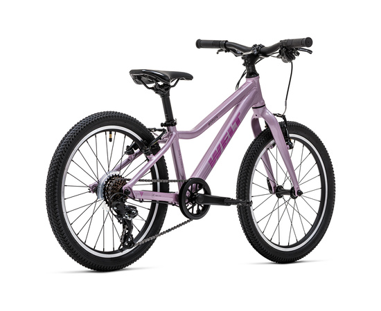 Детский велосипед Welt Moovix 2.0 20 V (Amazing Pink), Цвет: фиолетовый, изображение 3