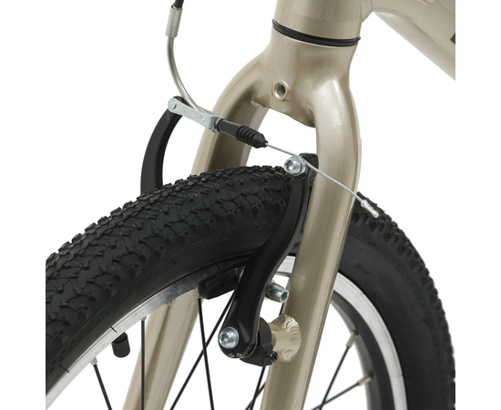 Детский велосипед Welt Moovix 2.0 20 V (Wild Gold), Цвет: бежевый, изображение 9