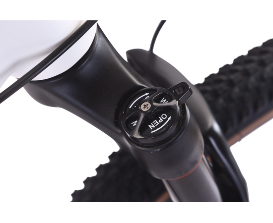 Велосипед Level Phantom 1.0 29" (белый/черный), Цвет: белый, Размер рамы: 17", изображение 9