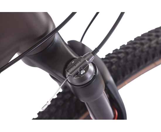 Велосипед Level Phantom 3.0 29" (бронзовый/черный, матовый), Цвет: коричневый, Размер рамы: 19", изображение 8