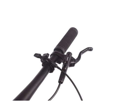 Велосипед Level Phantom 3.0 29" (бронзовый/черный, матовый), Цвет: коричневый, Размер рамы: 19", изображение 10