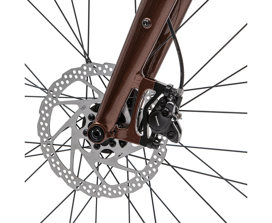 Велосипед Welt Stroke 2.0 (Urban Bronze), Цвет: коричневый, Размер рамы: M, изображение 9