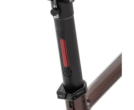 Велосипед Welt Stroke 2.0 (Urban Bronze), Цвет: коричневый, Размер рамы: M, изображение 10