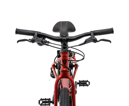 Велосипед Welt Moovix 3.0 HD 20 (Electric Copper), изображение 6