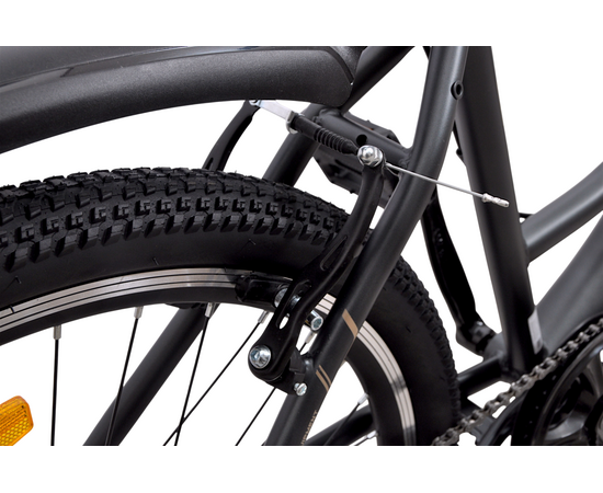 Велосипед Delta Fiesta 26 (серый), Цвет: серый, Размер рамы: 17", изображение 9