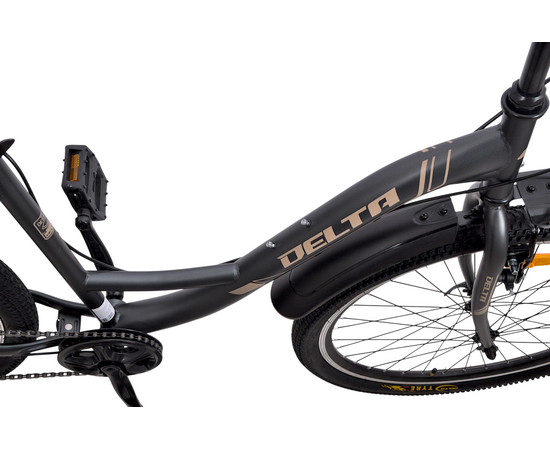 Велосипед Delta Fiesta 26 (серый), Цвет: серый, Размер рамы: 17", изображение 10