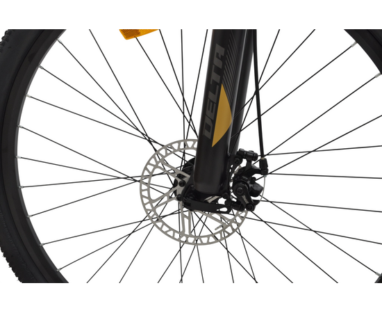 Велосипед Delta Corss 29 (чёрный/золотой), Цвет: черный, Размер рамы: 17", изображение 11