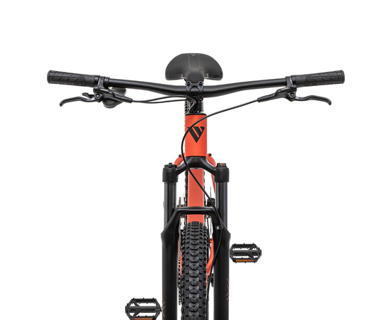 Велосипед Welt Ranger 1.0 29 (Tan Orange), Цвет: оранжевый, Размер рамы: M, изображение 4