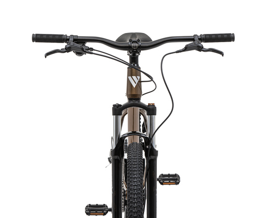 Велосипед Welt Storm 29 HD (Mad Bronze), Цвет: коричневый, Размер рамы: XL, изображение 4