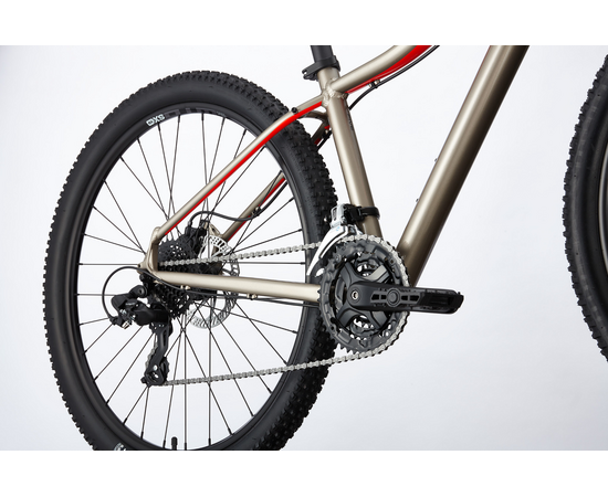 Велосипед Cannondale TANGO 5 (Meteor Gray), изображение 3