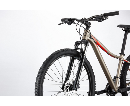 Велосипед Cannondale TANGO 5 (Meteor Gray), изображение 4