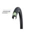 Покрышка 20x2.15 (55-406) Schwalbe Big Ben Plus GreenGuard SnakeSkin HS439 05-11101122 (черный), изображение 2