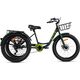 Велосипед трехколесный SITIS CARGO рикша FAT 24" (2025, Black-Green), Цвет: зелёный
